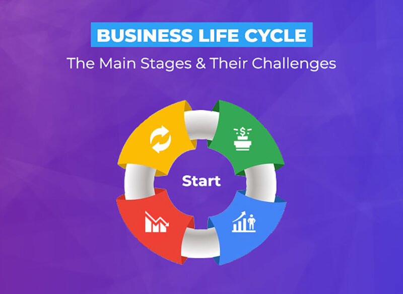 Navigating the Business Lifecycle: Understanding Your Business's Evolution